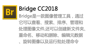 Bridge_CC2018中文版-我爱装软件