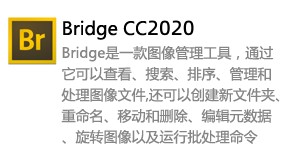 Bridge CC 2020-我爱装软件