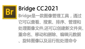 Bridge CC 2021-我爱装软件